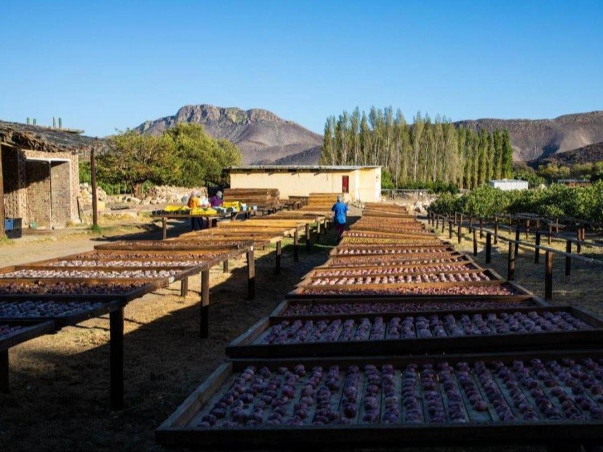 شقة Weltevrede Fig Farm برنس ألبرت المظهر الخارجي الصورة