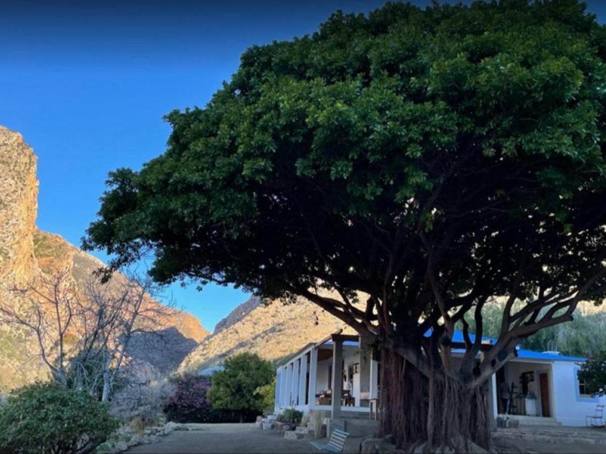 شقة Weltevrede Fig Farm برنس ألبرت المظهر الخارجي الصورة