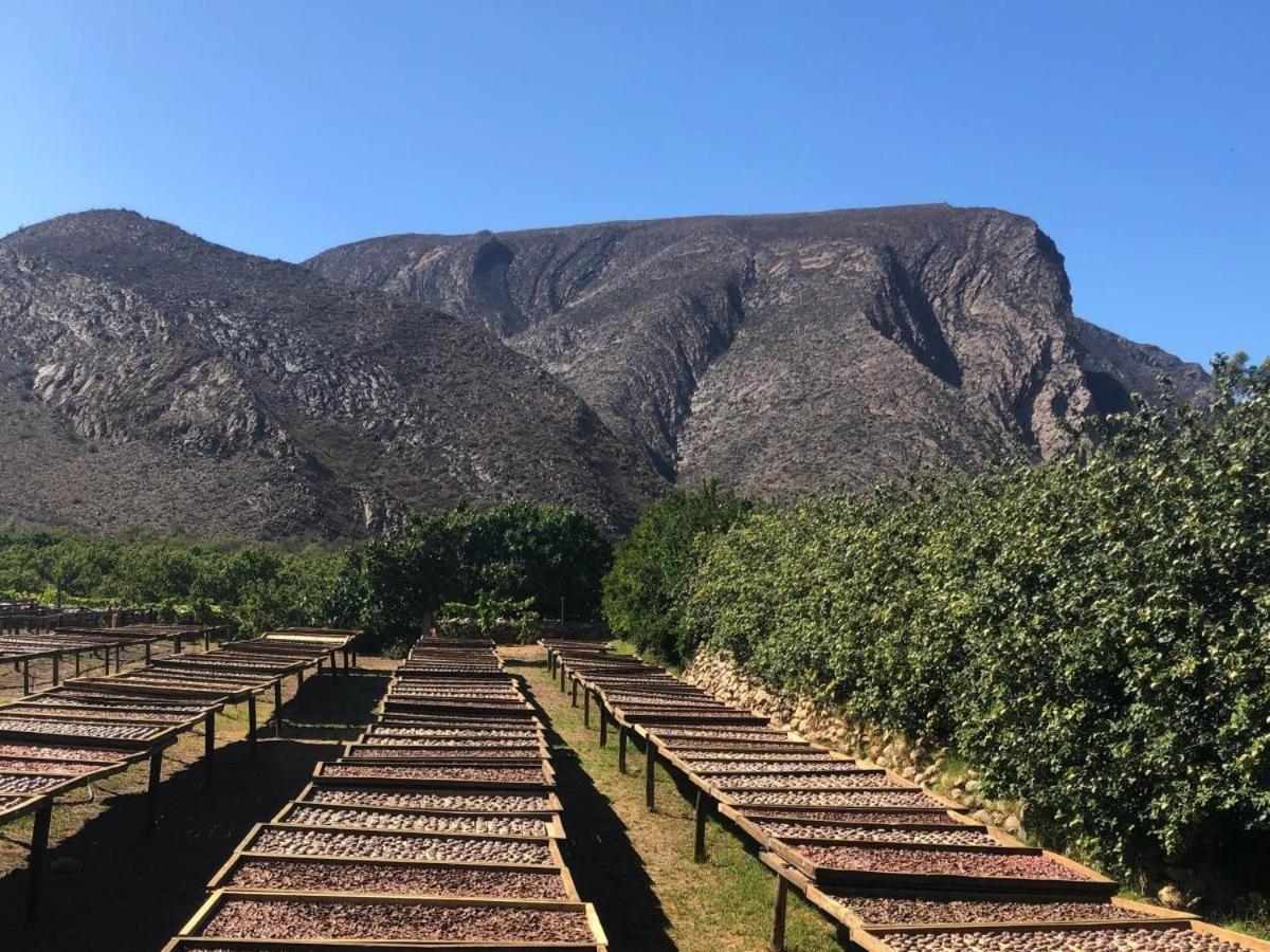 شقة Weltevrede Fig Farm برنس ألبرت المظهر الخارجي الصورة
