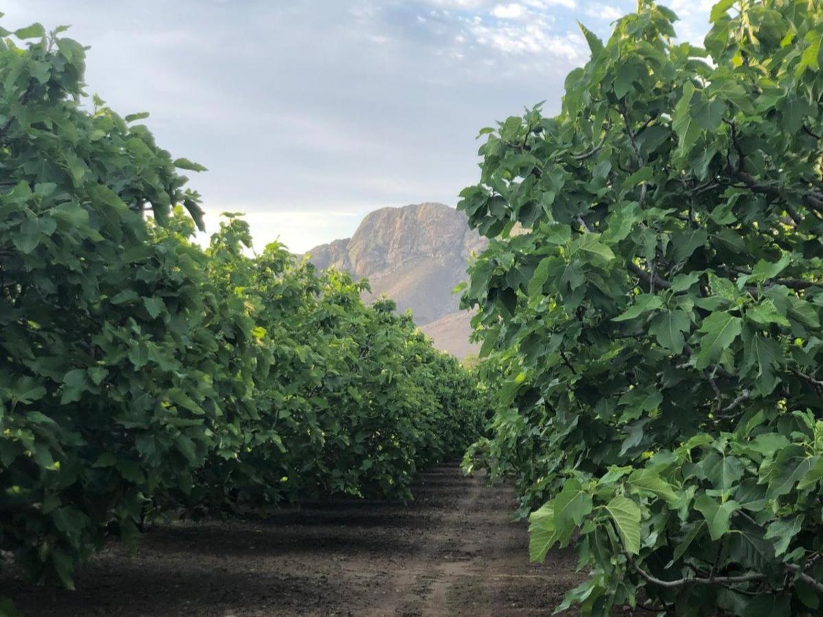 شقة Weltevrede Fig Farm برنس ألبرت المظهر الخارجي الصورة